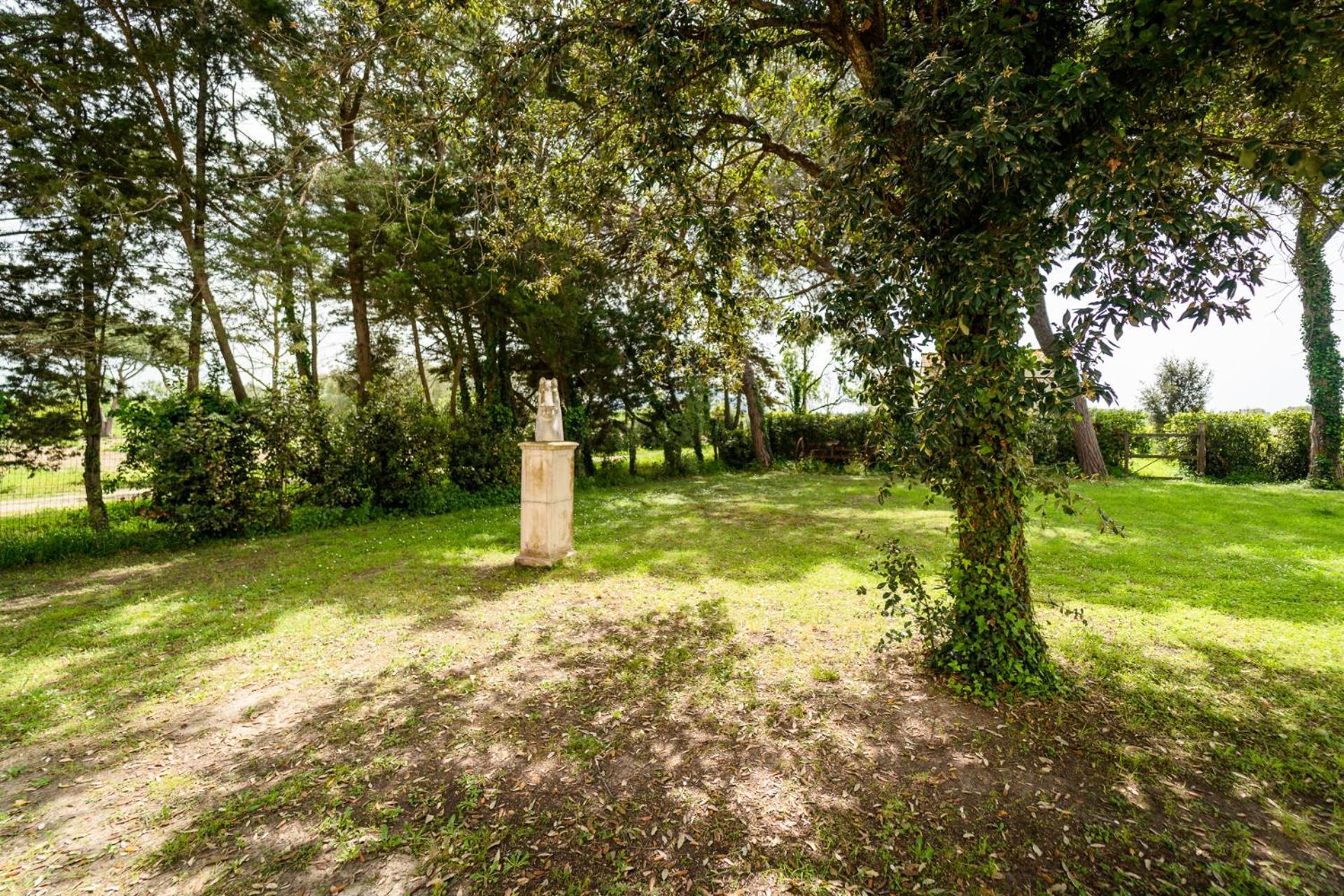 Agriturismo Bio San Mamiliano グロッセート エクステリア 写真